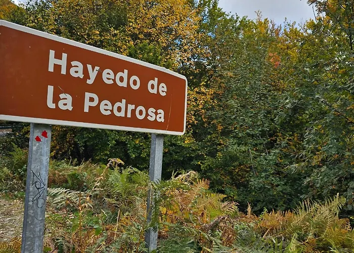 Hotel Rural La Encantada En Riaza Becerril (Segovia)